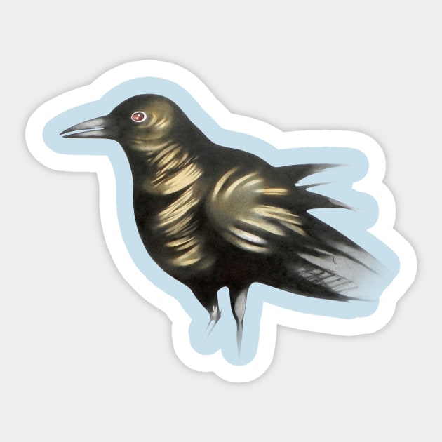 crow Sticker by federicocortese